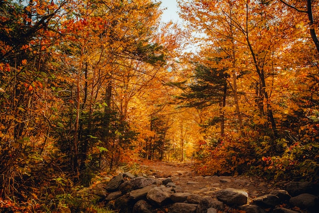 fotografar paisagens com mau tempo em outono